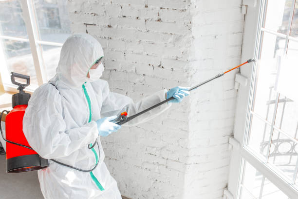 Best Emergency Mold Remediation in Chillicothe, MO