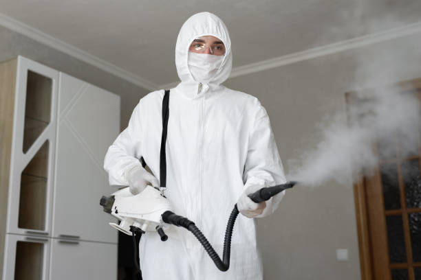 Reliable Chillicothe, MO Mold Removal Solutions